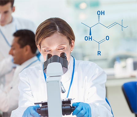Ceramide Chemical Structure